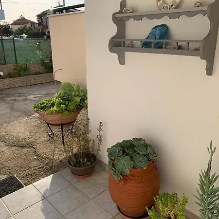 Stella's House 4*